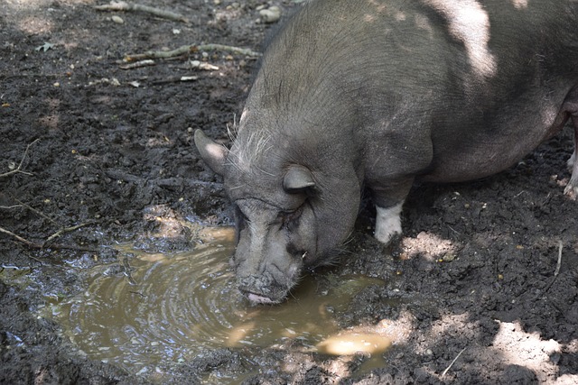 了重要作用 了重要作用