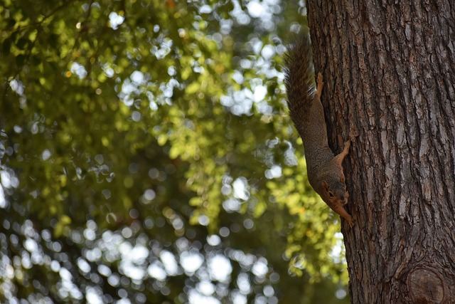 企业不仅能 企业不仅能