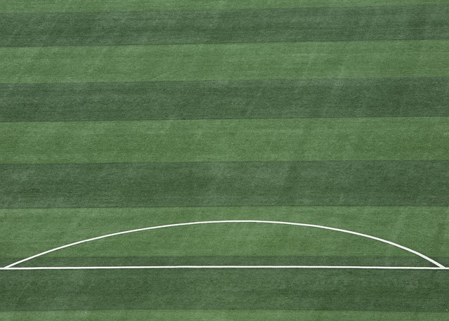 範圍內引發 範圍內引發