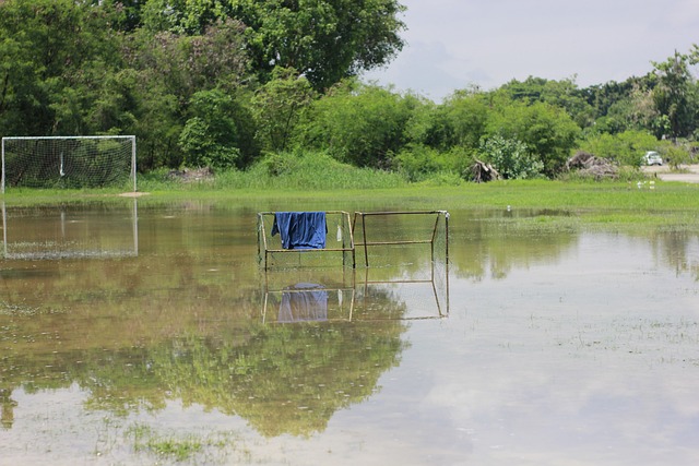 球迷与分析 球迷与分析